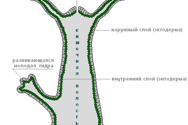 Кракен маркет только через тор скачать