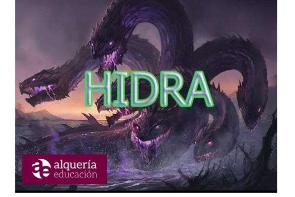 Kraken com зеркало
