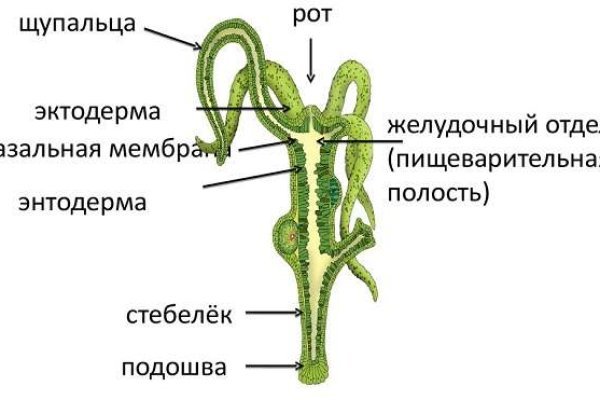 Kraken сайт покупок